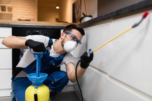 Best Emergency Pest Control  in Heidelberg, PA