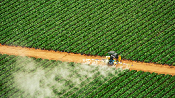Best Mosquito Control Services  in Heidelberg, PA